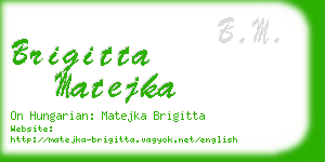 brigitta matejka business card